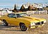 1970 Pontiac Le Mans for sale 101078909